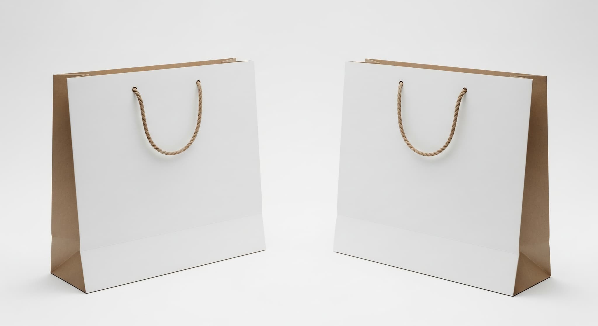 Laminated Paper Bags